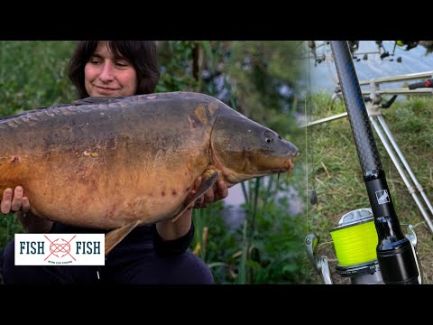 Видео: Огляд SPORTEX ADVANCER CS-2 від Carp Catchers