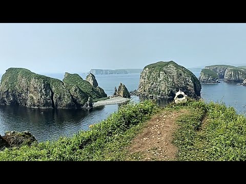 Видео: Поход - рыбалка в бухту Безымянную острова Шикотан#курилы #курильскиеострова #shitokan #шикотан