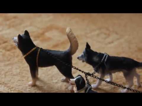 Видео: Вольная Упряжка 4 серия