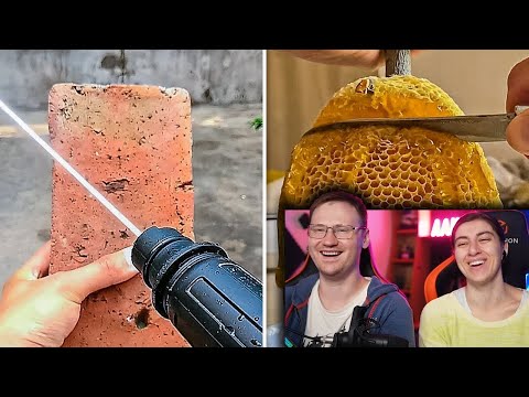 Видео: ВИДЕО, НА КОТОРЫЕ ЗАЛИПАЮТ МИЛЛИОНЫ ЗРИТЕЛЕЙ СО ВСЕГО МИРА | РЕАКЦИЯ