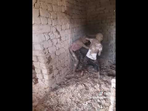 Видео: Патсанои ҳозира