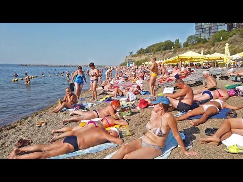 Видео: Станьте свидетелем миграции красных крабов на острове Рождества 🦀🌴