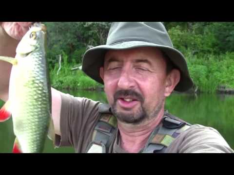 Видео: Один на реке. Сезон 3. За краснопёркой