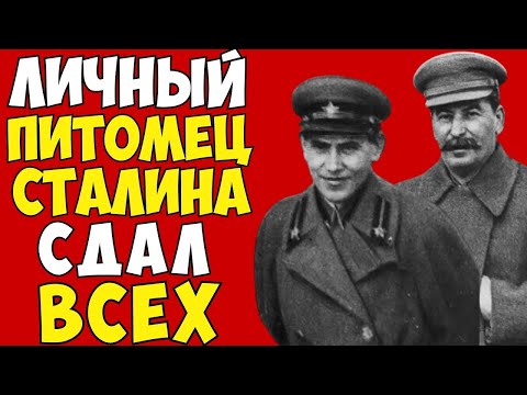 Видео: КРОВАВЫЙ КАРЛИК СДАЛ СТАЛИНА! 47 часов ШОКИРУЮЩИХ признаний Ежова | ЗАСЕКРЕЧЕНО ДО 2043!