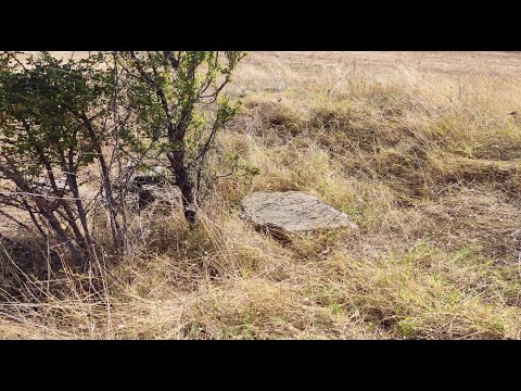 Видео: Тракийска могила на с. Седларево /2023/