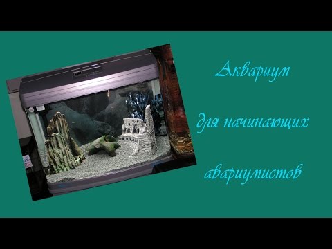 Видео: Обзор китайского аквариума JEBO R331