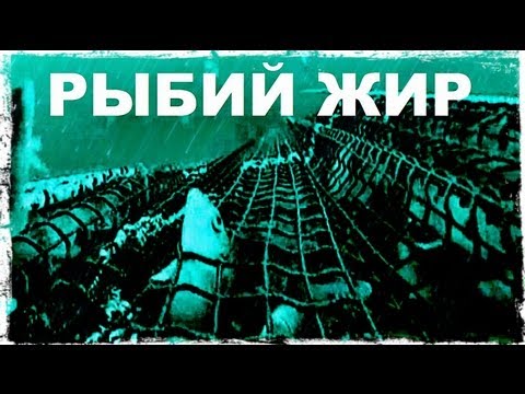 Видео: Галилео | Рыбий жир 🐟[Fish oil]