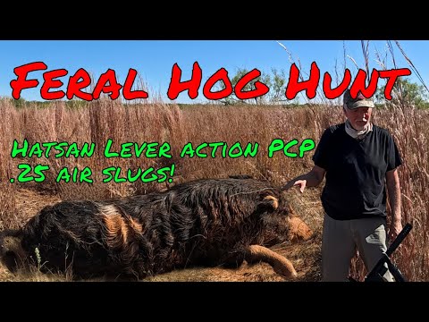 Видео: Охота на кабана с пневматическим ружьём 25 калибра
