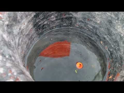 Видео: Только опустил поплавок и он сразу всплыл. Зимняя рыбалка 2023