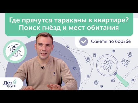 Видео: Где прячутся тараканы в квартире? Гнездо тараканов и места обитания | Выведение тараканов | СЭС