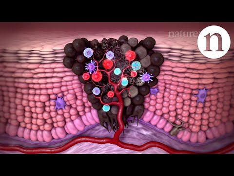 Видео: Иммунология и иммунотерапия опухолей