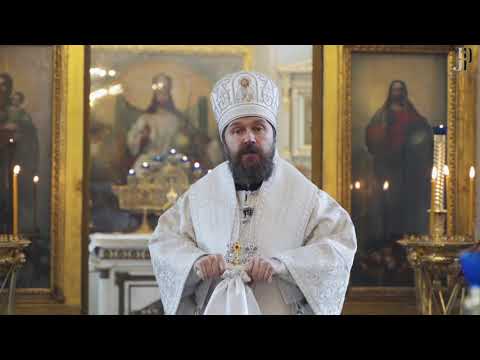 Видео: Не найдя Адама на земле, Бог сошел во ад. Проповедь 18.04.2020