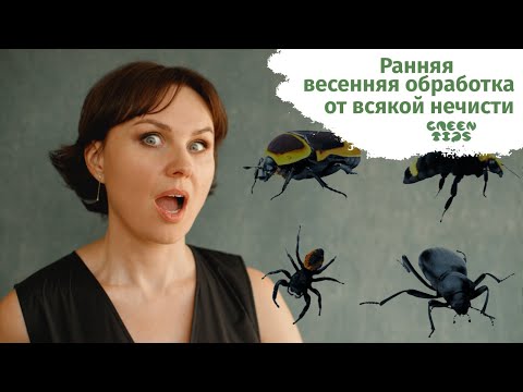 Видео: Весенняя обработка сада до распускания листьев
