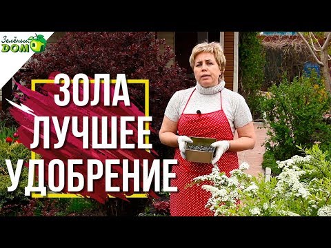 Видео: Лучшее удобрение ✔️ Как Использовать Золу В Саду 🍅 Советы от  Garden zoo интернет магазин