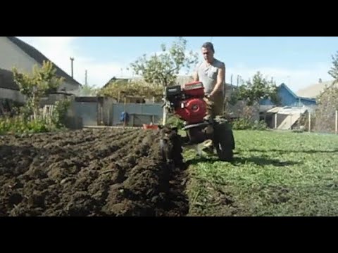Видео: ЗАПАХИВАЕМ ОЧЕРЕДНОЙ СИДЕРАТ И ОПЯТЬ СЕЕМ НОВЫЙ.