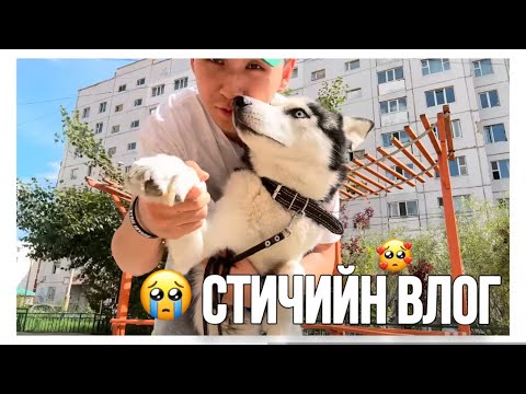 Видео: ХАМГИЙН САЙН НАЙЗАА АЛДЛАА 🥺😢