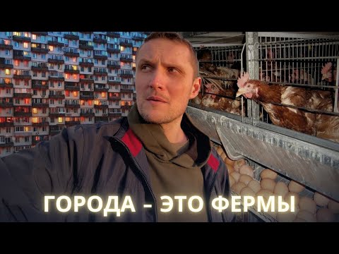 Видео: Города - это фермы. И другие мои бездоказательные утверждения :)