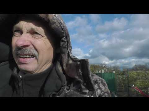 Видео: Філоксера, моя думка, мій шлях виноградаря.