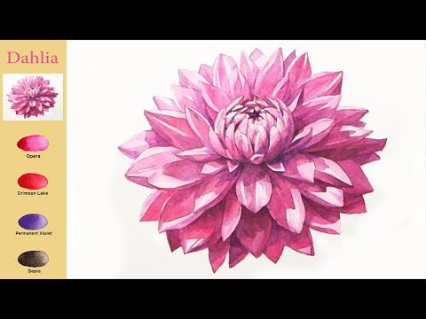 Видео: основной Цветок Акварель - георгин (эскиз смешивание цветов, Arches) NAMIL ART