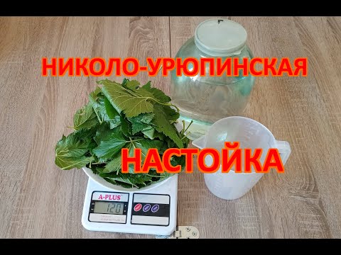 Видео: Николо-Урюпинская настойка. Настойка на листьях смородины.