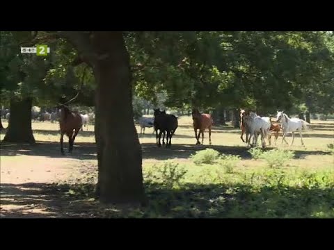 Видео: Във владенията на Кабиюк, №1 - Туризмът  - 22.10.2023 по БНТ