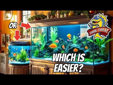 Видео: Легко ли содержать большие аквариумы?