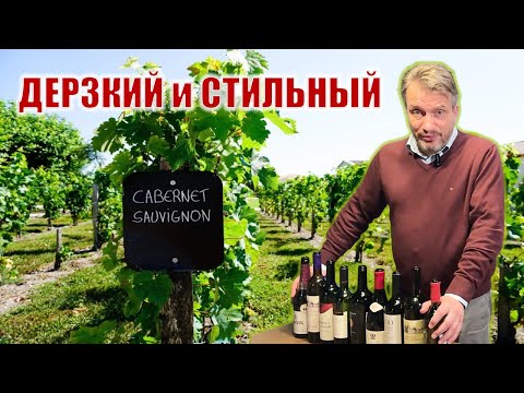 Видео: Дегустариум. Каберне Совиньон – один на всех, и все для одного.