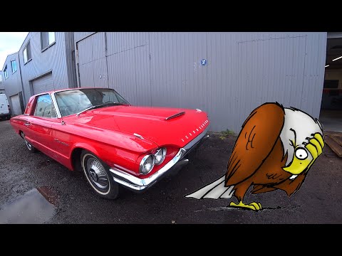 Видео: Птицеводство для чайников!