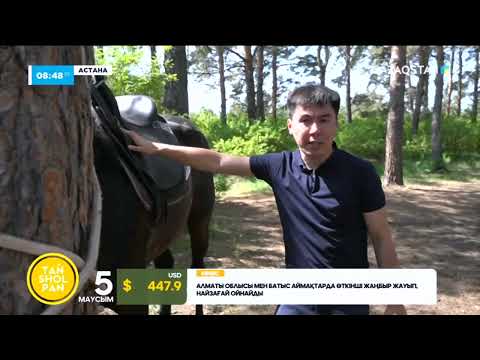 Видео: Атқа мінудің аутист адамдарға тигізер пайдасы қандай?
