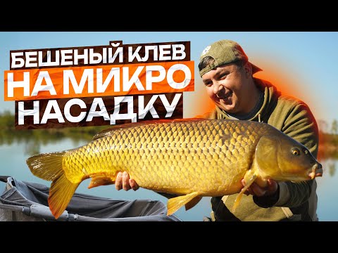 Видео: Попал на бешеный клев. Карпы и Амуры заставили вымотать удилища! Микро-насадка снова сработала!