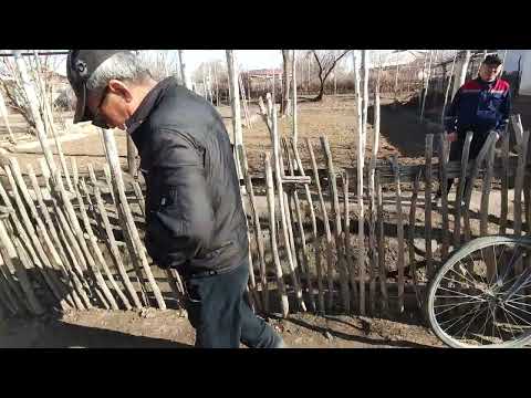 Видео: Тахтакопир.Узбекистан көшесі.