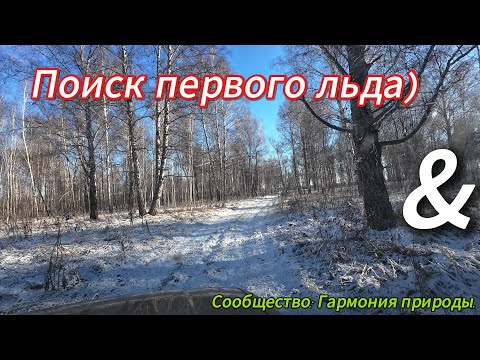 Видео: Поиски первого льда на местной реке.