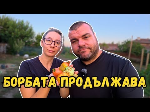 Видео: Нещата НЕ ОТИВАТ на добре | Милчеви БГ