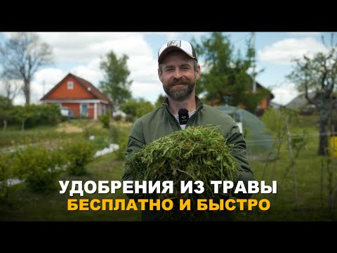 Видео: ТРИ БЕСПЛАТНЫХ УДОБРЕНИЯ ИЗ ТРАВЫ. Способы приготовления удобрения из травы, доступных каждому.