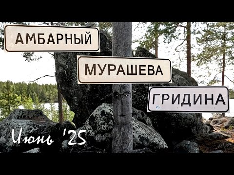 Видео: Мурашева – Гридина