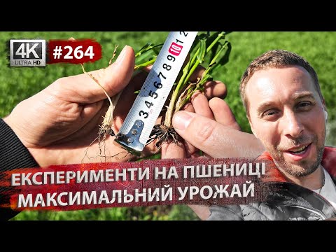 Видео: НІКОЛИ так не СІЙТЕ🌱Вносимо препарати🛢Найкраща глибина для посіву❓