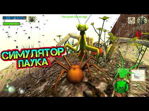 Видео: Симулятор ПАУКА. Развиваем колонию пауков. SPIDER Simulator. We develop a colony of spiders