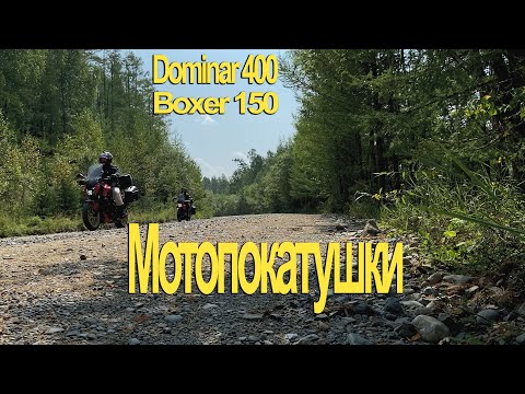 Видео: Катаемся на Bajaj Dominar 400 и Boxer 150