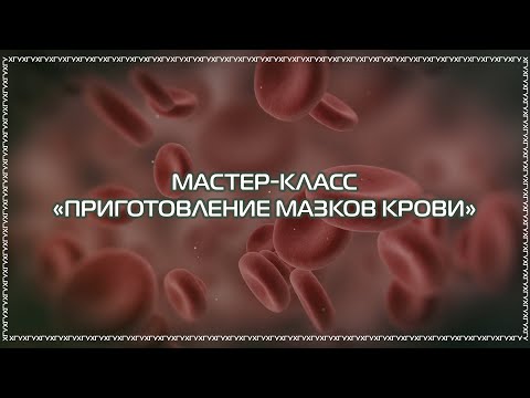 Видео: Мастер-класс «Техника приготовления мазков крови»