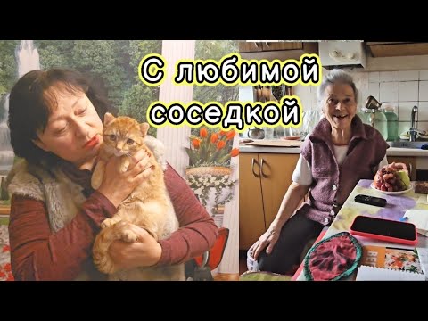 Видео: 🍁НАДЕЕМСЯ ЕГО НЕ БРОСЯТ 🐕27.10.25.