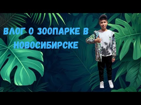 Видео: Влог о Зоопарке в Новосибирске... 