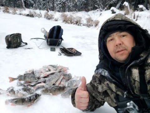 Видео: Рыбалка на красивой таежной р.Тырльяха в -35
