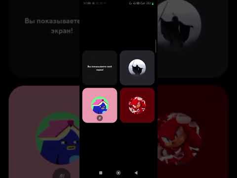 Видео: 23 октября 2025 г.