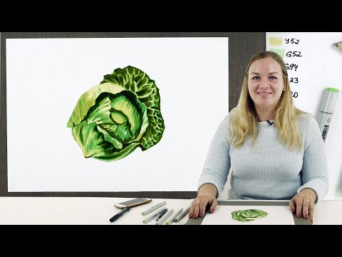 Видео: Экспресс-урок по скетчингу маркерами «Капуста» | Как нарисовать капусту поэтапно