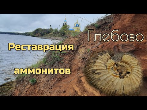 Видео: Глебовские аммониты. Препарация и реставрация.