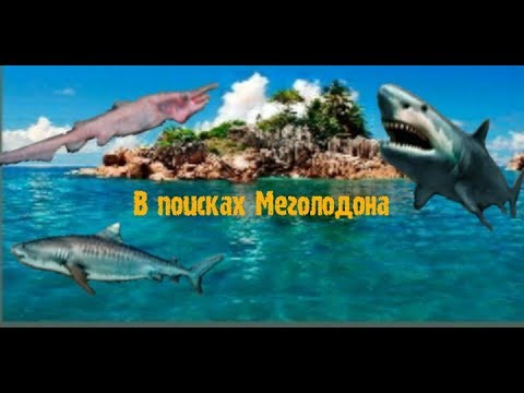 Видео: 17)My Fishing World в поисках Мегалодона