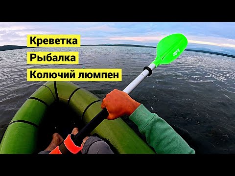 Видео: Ночью креветки а днём рыбалка! Впервые попробовал колючего люмпена!