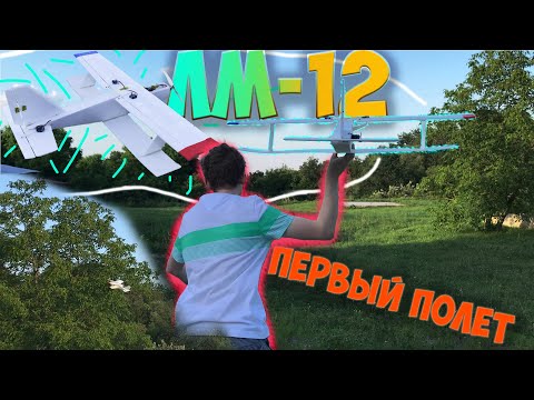 Видео: ЛМ-12 | Самодельный самолет на радиоуправлении | Первый запуск