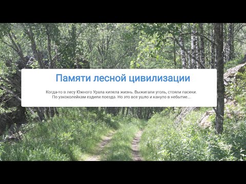 Видео: Памяти лесной цивилизации