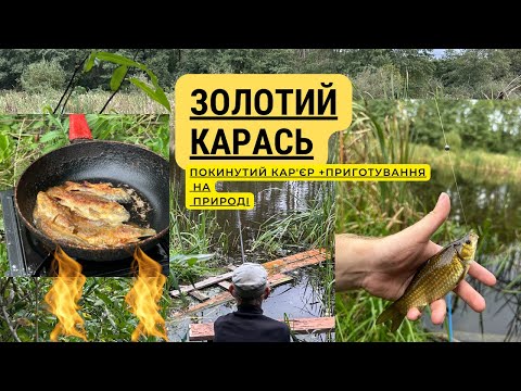 Видео: Золоті Карасі в закинутому кар'єрі! + Приготування на Вогні